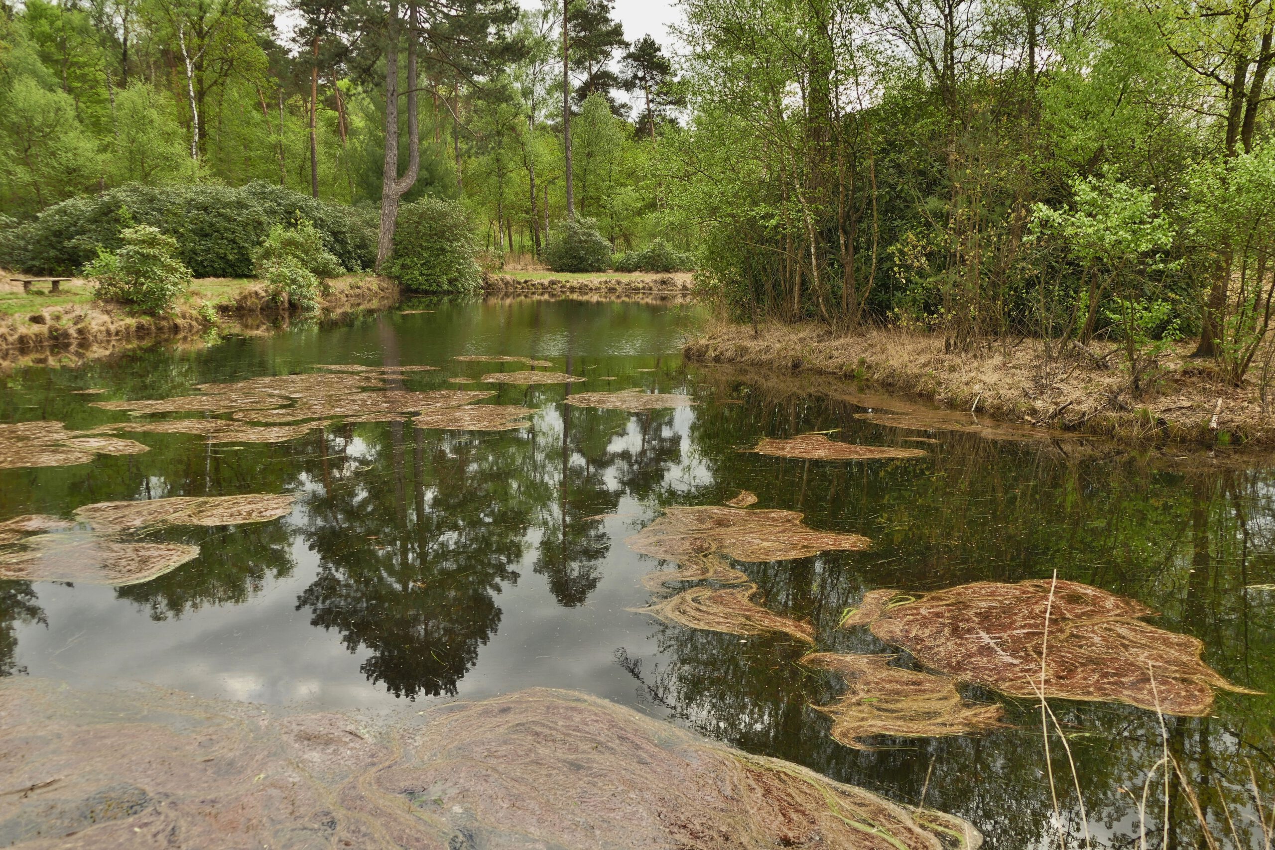 Verwoldsehof 2019-04-25 106