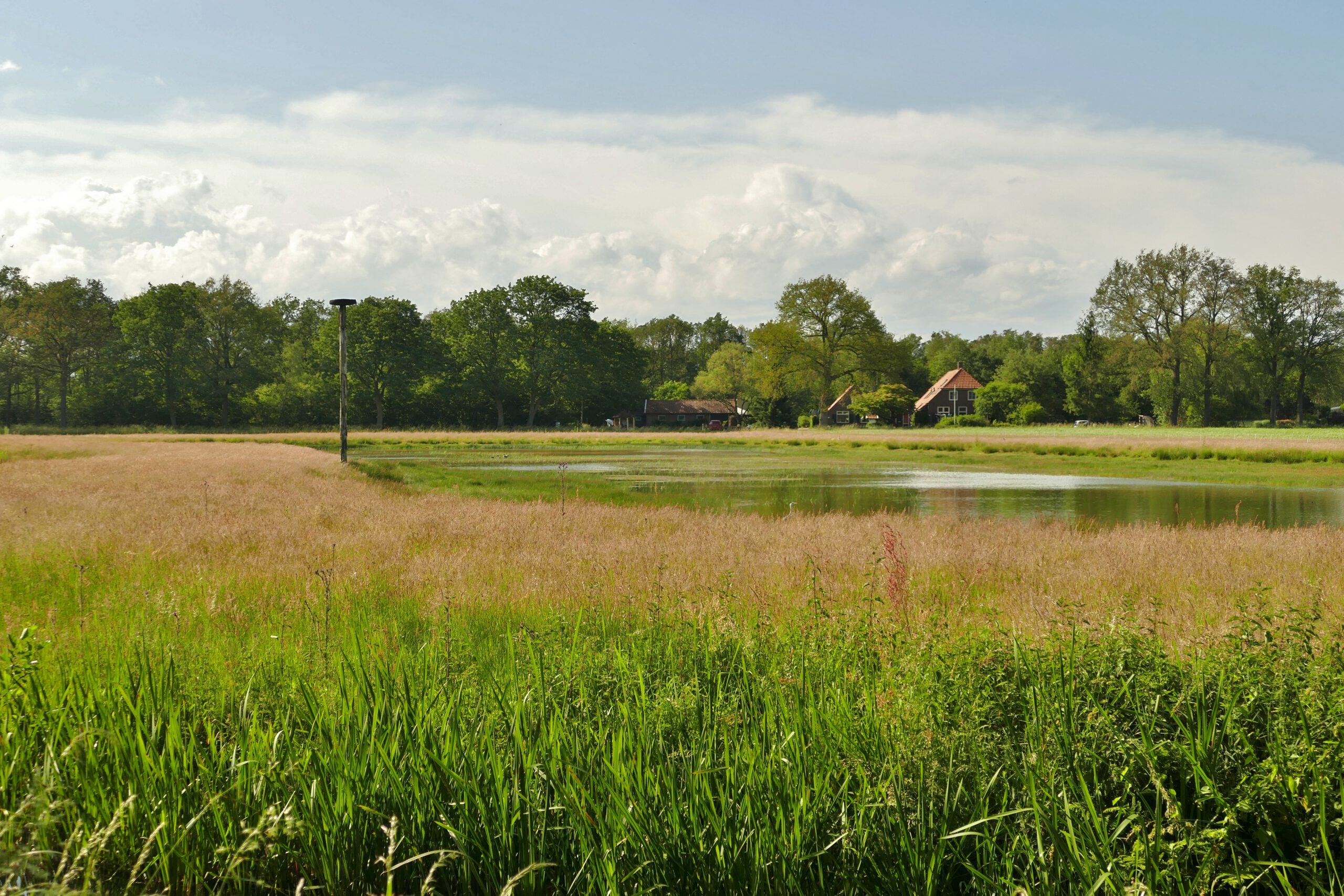 Verwoldsehof 2019-06-08 008