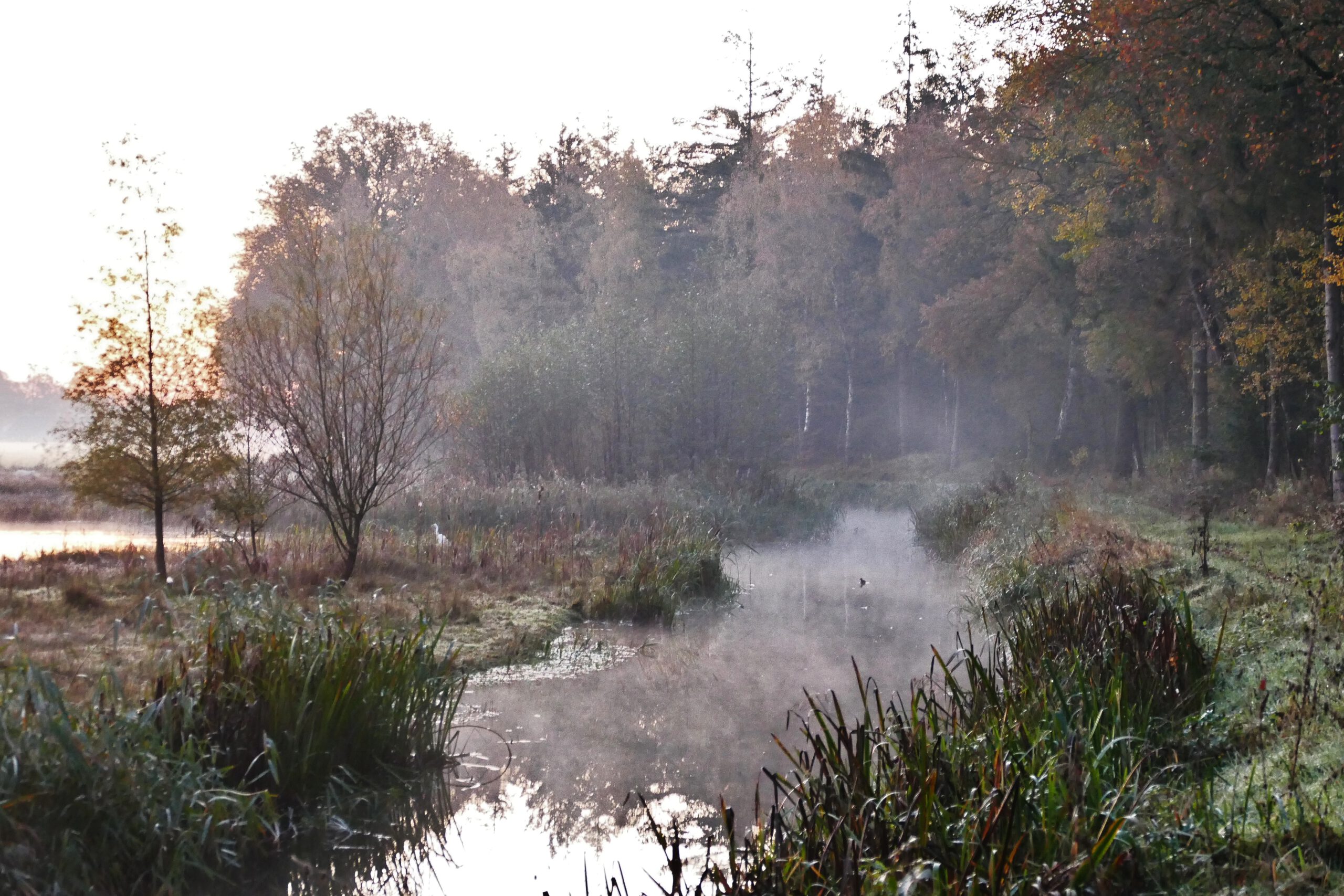 Verwoldsehof zonsopkomst 2020-11-07 012